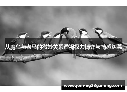 从魔鸟与老马的微妙关系透视权力博弈与情感纠葛