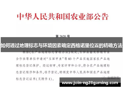 如何通过地理标志与环境因素确定西格诺里位置的精确方法