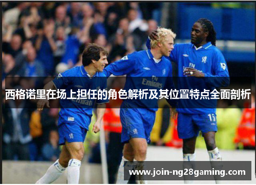 西格诺里在场上担任的角色解析及其位置特点全面剖析