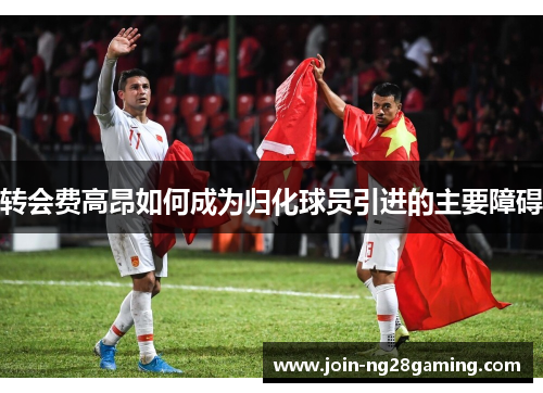 转会费高昂如何成为归化球员引进的主要障碍