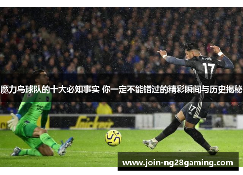 魔力鸟球队的十大必知事实 你一定不能错过的精彩瞬间与历史揭秘