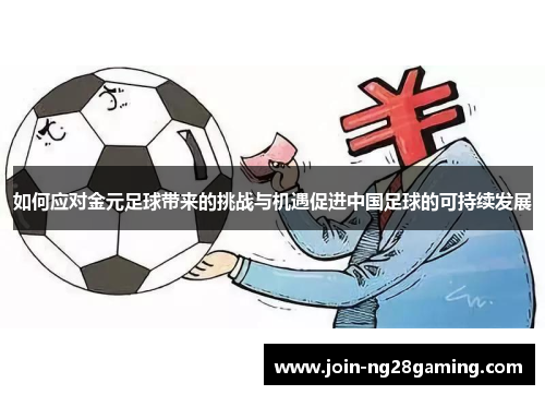 如何应对金元足球带来的挑战与机遇促进中国足球的可持续发展